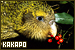 Kakapos